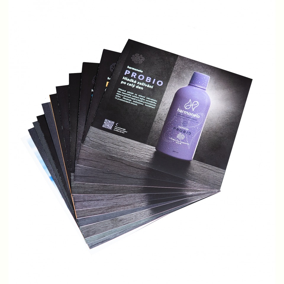 EN Flyers MIX 13 pcs: (English)